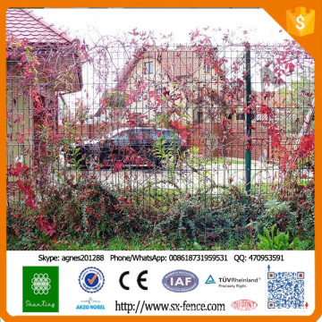 Alibaba outdoor tree fence/low cost wire mesh fence/2x4 welded wire fence for sale